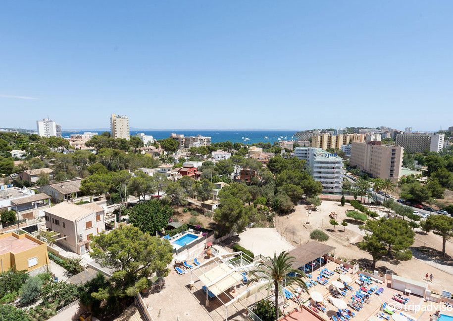 Globales Mimosa Hotell Palmanova Eksteriør bilde